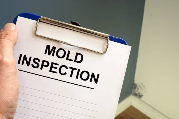 Mold Removal for HVAC Installations in Glasgow, MT